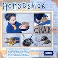 Horseshoe crab