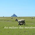 [Mont Saint Michel] au milieu des moutons....