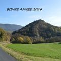 Bonne année 2016 !