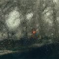 la pluie vue par Abbas Kiarostami