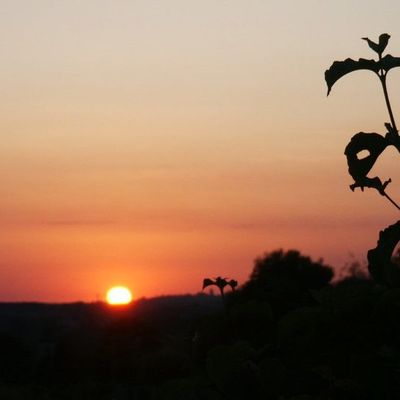 ciel d'hiver pour soir dété
