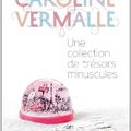 Une Collection de Trésors minuscules