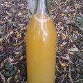 Vin du Soleil aux Oranges