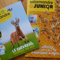 Juin-juillet avec Salamandre Junior et la Petite Salamandre + CONCOURS / CADEAUX