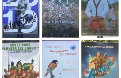 Un été sans fin - Le Pod