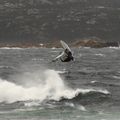 ENTRAÎNEMENT VAGUES DE VENT !...