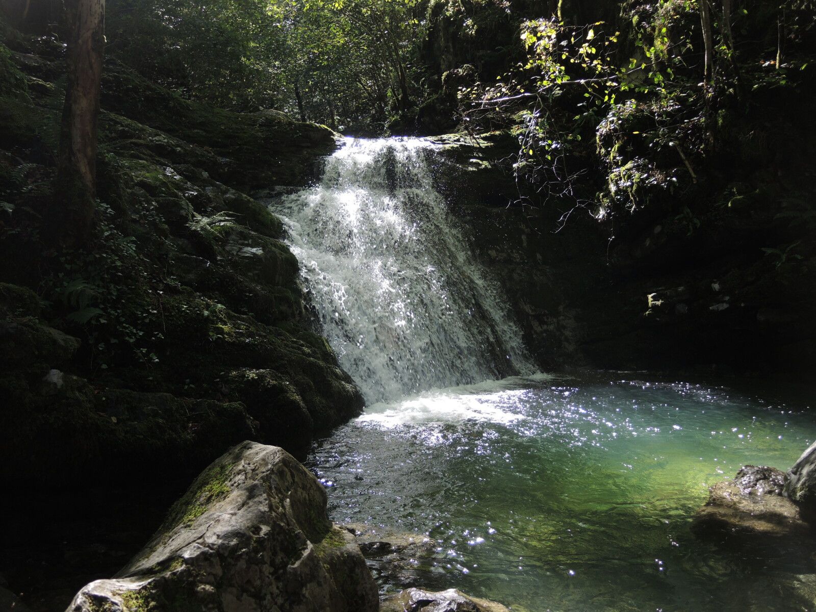 Sources de la Bidouze, sentier, cascade et vasque, soleil  (64)