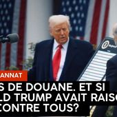 " Tout ce que l'on vous cache sur les effets positifs des droits de douane de Trump ! ". L'édito de Charles SANNAT - Insolentiae