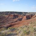 et finalement painted desert.... 