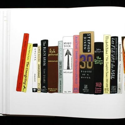 La bibliothèque idéale de Daniel Handler