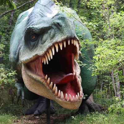 La Forêt des Dinosaures