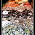 Photo de Venise - Fish Market