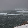 Du vent dans les voiles