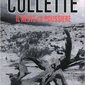 IL RESTE LA POUSSIERE de SANDRINE COLLETTE