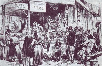 LES CHIENS DANS LA GUERRE DE 1870