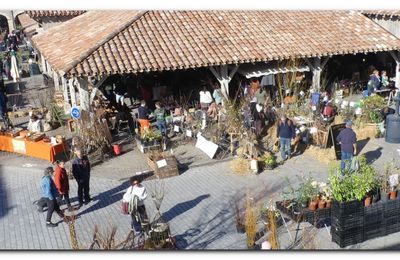 Novembre se la joue novembre