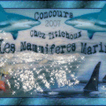 Concours "Les mammiféres marins " Titichoux