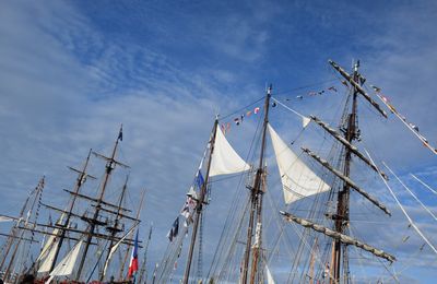Sur les quais de Paimpol (Côtes d'Armor) le 4 août 2019 (7)
