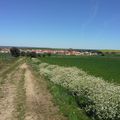 Fuenterobble - San Pedros de Rozados  du vent , du soleil et frio....