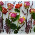 Tableau de fleurs & feuilles séchées #1 - essai