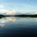 CHRISTOPHE, AVENTURIER DES MARAIS DE KAW