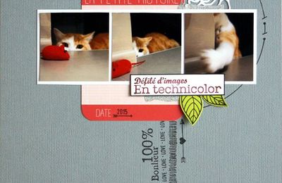 Défilé d'images - DT blog C&S tout simplement - et Diy & Cie...