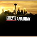 Grey's Anatomy 9x15 