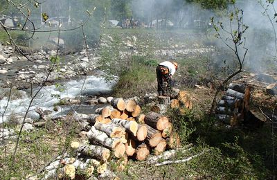 Commune  : Allos Cours d’eau  : Le Chadoulin (CD-2)