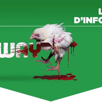 Agissez pour que Subway tourne le dos à cette