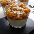 Panna Cotta « Piña Colada »