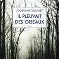 Il pleuvait des oiseaux : une fable dépaysante et envoutante