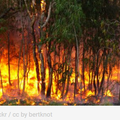 Incendies en Gironde 
