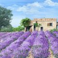 Bienvenue en Provence