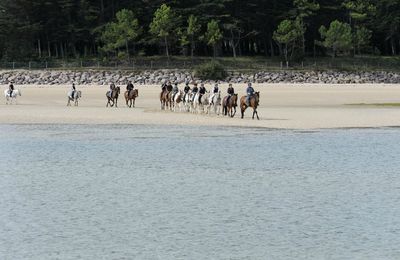 ESTUAIRE DE L'ISLET(plurien)