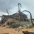 Sur des plages landaises, hors saison (40)