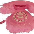 Telephone rose?