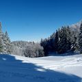 La neige est tombée en abondance... et a fait des paysages de rêve.