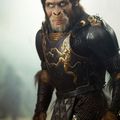 DES HOMMES SINGES DRESSÉS EN TANT QUE SOLDATS 