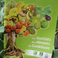 Les bienfaits des aliments de Guadeloupe