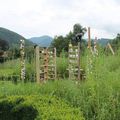 Le labyrinthe aux clairières au Parc de Wesserling en Alsace