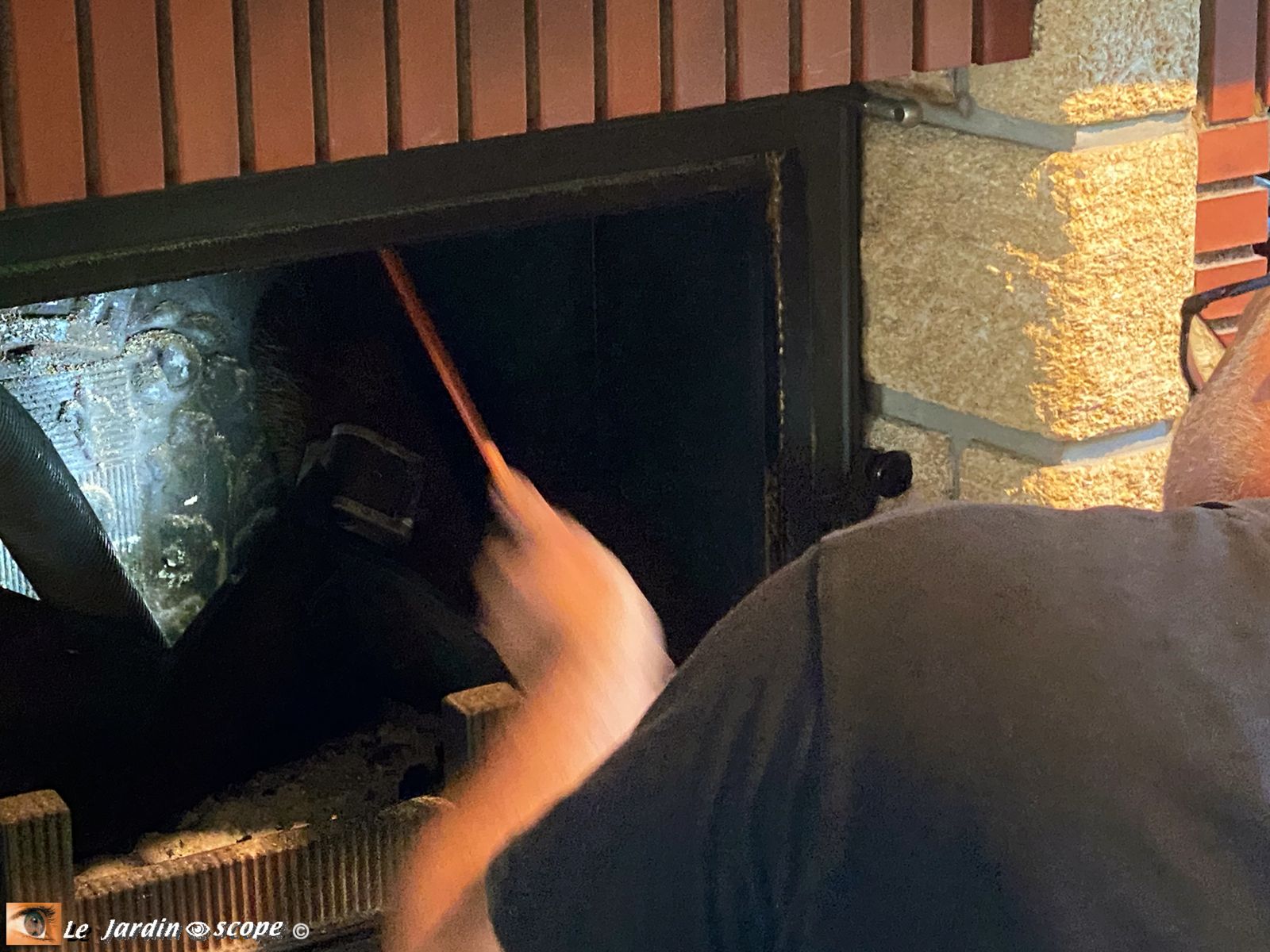 Va et vient d'un hérisson dans la cheminée