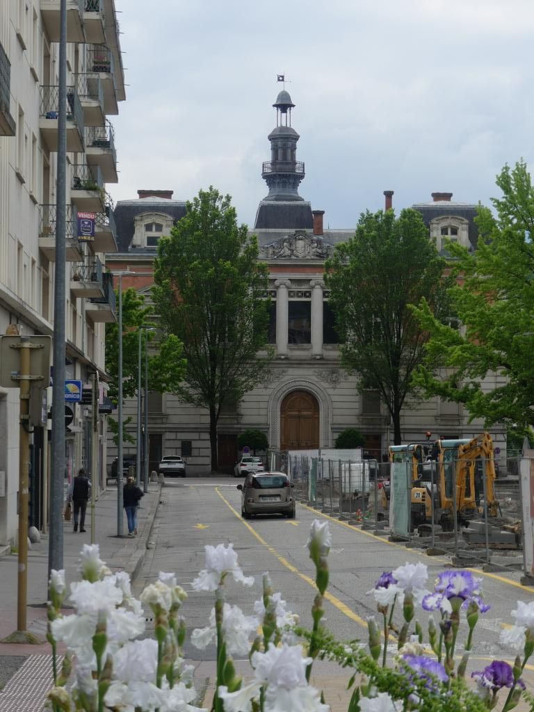 P1320529