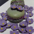 Macarons à la violette