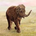 Mammoths of the Ice Age