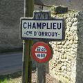 Randonnée pédestre à Orrouy : Les ruines de Champlieu: site historique d'exception