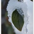 PARURE DE CRISTAL