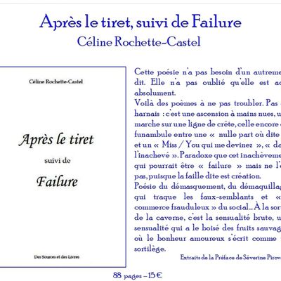 Parution: "Après le tiret, suivi de Failure" de Céline Rochette-Castel.