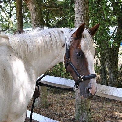 Une paille dans ma limonade...