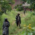 RDC : Les FDLR opèrent également au Sud-Kivu