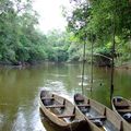 Infirmier libéral en Guyane !